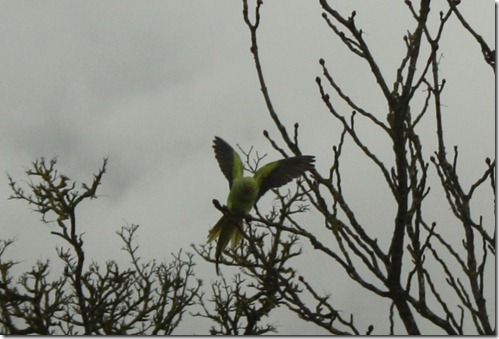 MARTIN_2012_12_18_0310