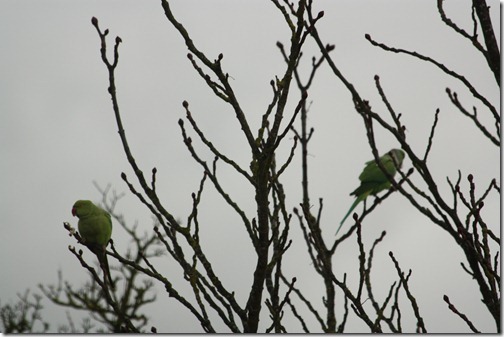 MARTIN_2012_12_18_0314