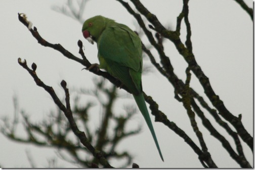 MARTIN_2012_12_18_0318