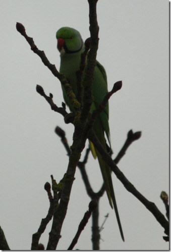 MARTIN_2012_12_18_0320