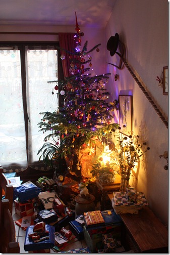 MARTIN_2012_12_25_0329 MARTIN_2012_12_25_0329