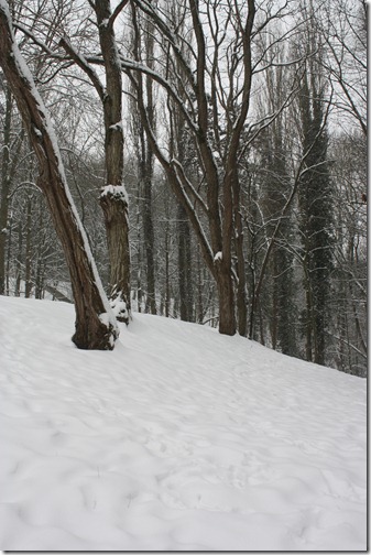 MARTIN_2013_01_20_0430