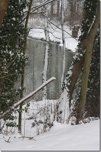 MARTIN_2013_01_20_0432