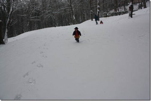 MARTIN_2013_01_20_0433