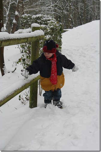 MARTIN_2013_01_20_0436