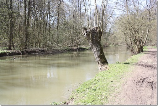 MARTIN_2013_04_14_0605