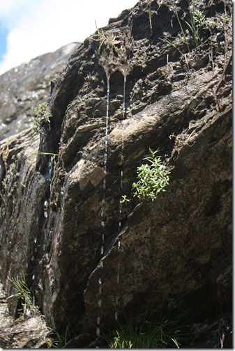 MARTIN_2013_07_02_0756