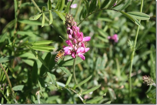 MARTIN_2013_07_02_0760