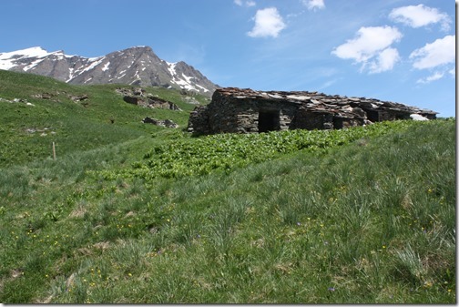 MARTIN_2013_07_02_0773