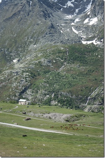 MARTIN_2013_07_04_0781