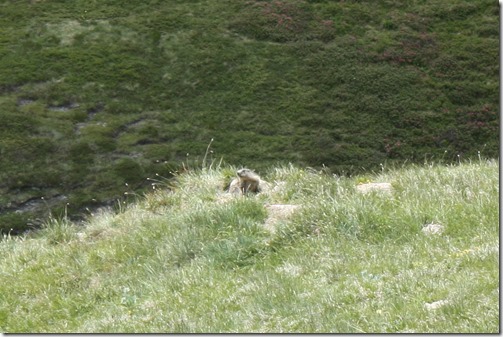 MARTIN_2013_07_04_0805