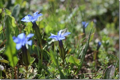 MARTIN_2013_07_04_0806