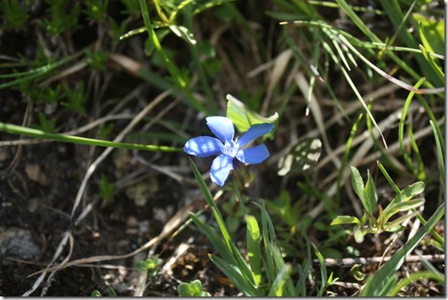 MARTIN_2013_07_04_0808