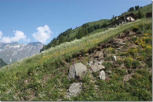 MARTIN_2013_07_07_0829