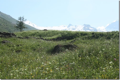 MARTIN_2013_07_07_0834