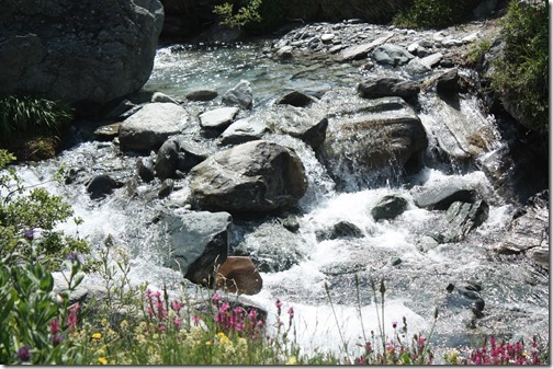 MARTIN_2013_07_07_0843