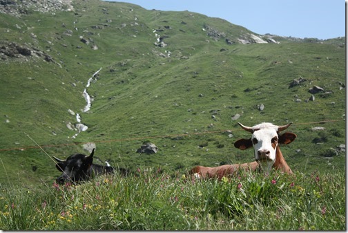 MARTIN_2013_07_07_0844