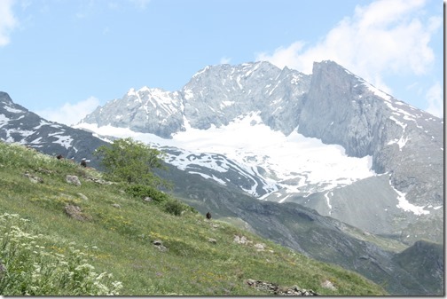 MARTIN_2013_07_07_0865