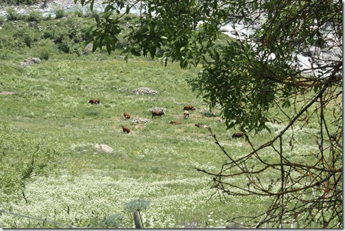 MARTIN_2013_07_07_0866