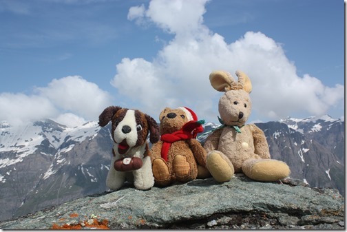 MARTIN_2013_07_08_0873