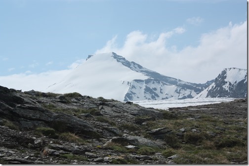 MARTIN_2013_07_08_0880