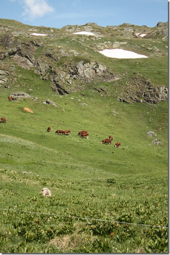 MARTIN_2013_07_10_0911