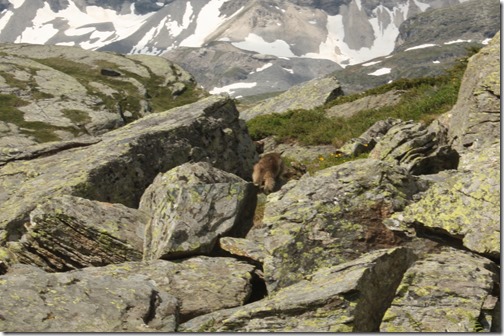 MARTIN_2013_07_10_0917