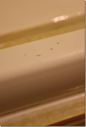 MARTIN_2013_08_25_1015