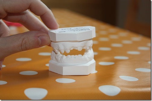 MARTIN_2013_11_16_1110