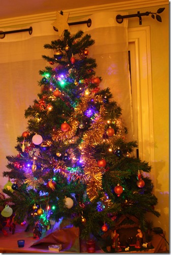 MARTIN_2013_12_07_1136