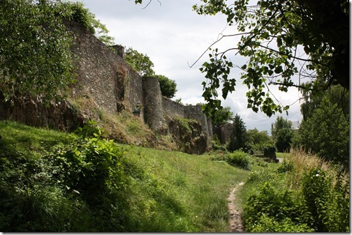 MARTIN_2014_07_07_0094