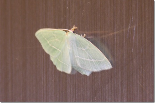 MARTIN_2014_07_20_0165 MARTIN_2014_07_20_0165