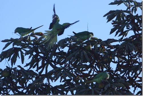 MARTIN_2014_08_21_0172