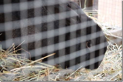 MARTIN_2014_12_13_0272