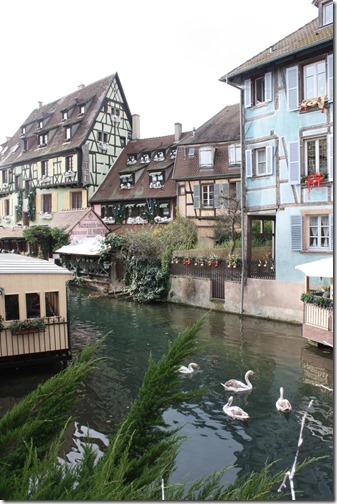 MARTIN_2014_12_13_0276