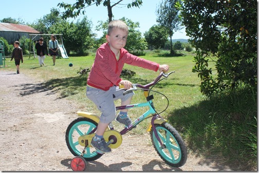 MARTIN_2015_06_07_0226 MARTIN_2015_06_07_0226