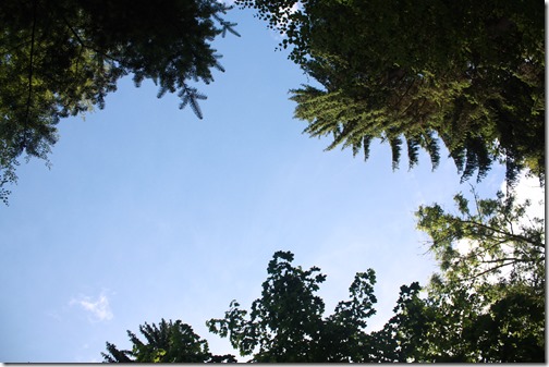 MARTIN_2015_06_13_0240 MARTIN_2015_06_13_0240