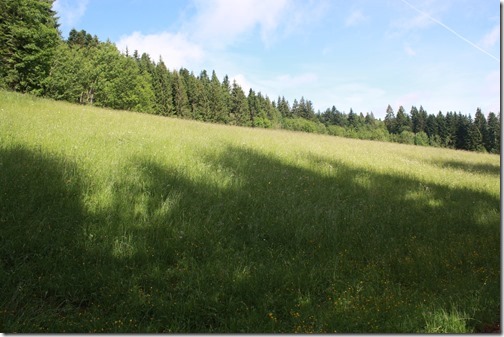 MARTIN_2015_06_13_0244 MARTIN_2015_06_13_0244