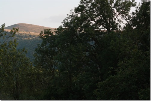 MARTIN_2015_07_18_0325