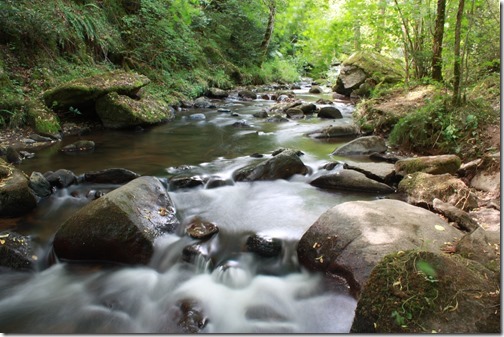 MARTIN_2015_07_27_0457