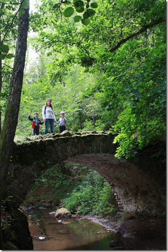 MARTIN_2015_07_27_0462