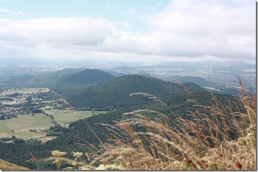 MARTIN_2015_07_28_0500