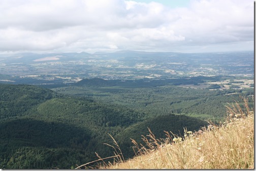 MARTIN_2015_07_28_0502