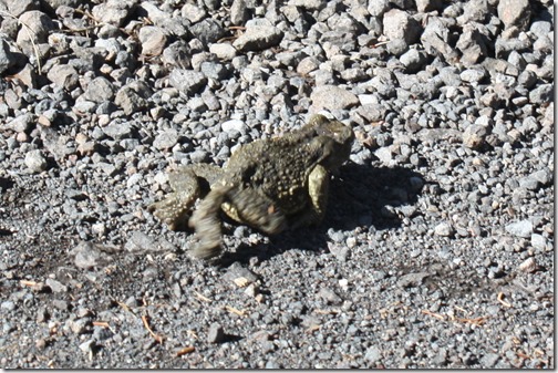 MARTIN_2015_07_23_0354