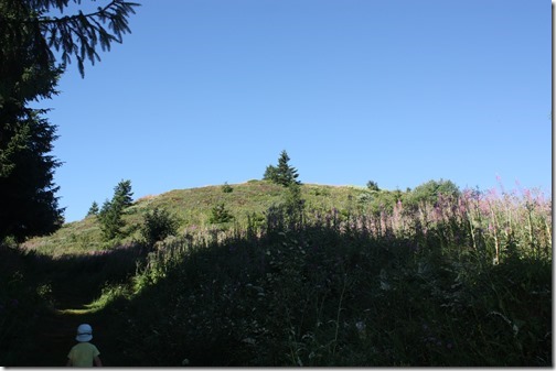 MARTIN_2015_07_23_0357