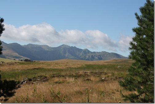 MARTIN_2015_07_23_0358