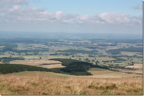 MARTIN_2015_07_23_0375