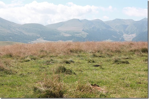 MARTIN_2015_07_23_0388