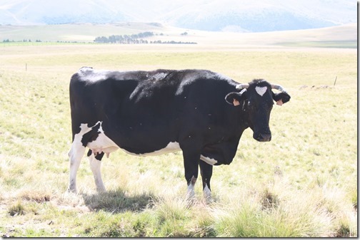 MARTIN_2015_07_23_0392