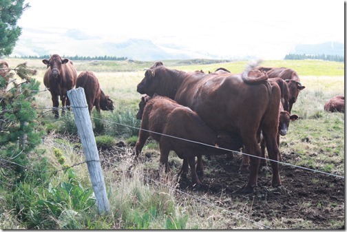 MARTIN_2015_07_23_0394